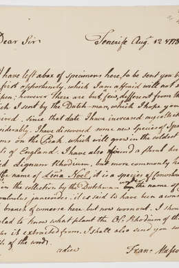 Series 13.12: Letter received by Banks from Francis Masson, 12 August 1778